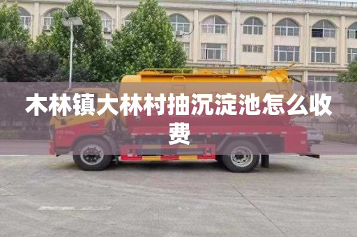 木林镇大林村抽沉淀池怎么收费