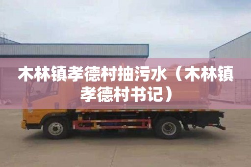 木林镇孝德村抽污水（木林镇孝德村书记）