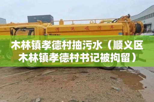 木林镇孝德村抽污水（顺义区木林镇孝德村书记被拘留）