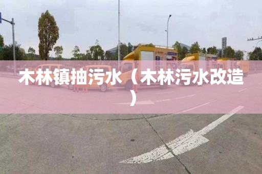 木林镇抽污水（木林污水改造）