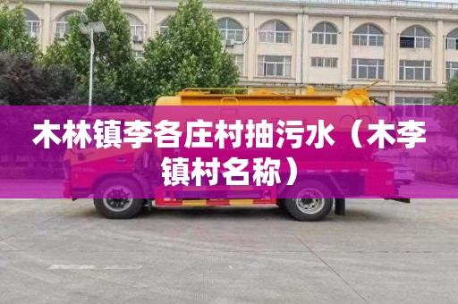 木林镇李各庄村抽污水（木李镇村名称）