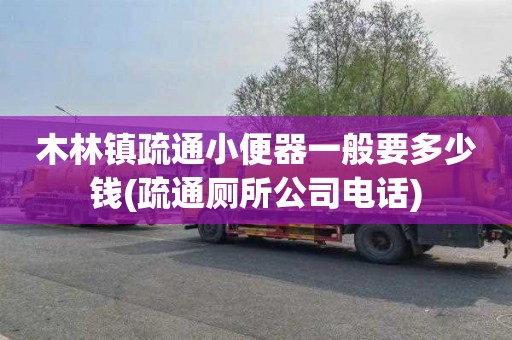 木林镇疏通小便器一般要多少钱(疏通厕所公司电话)