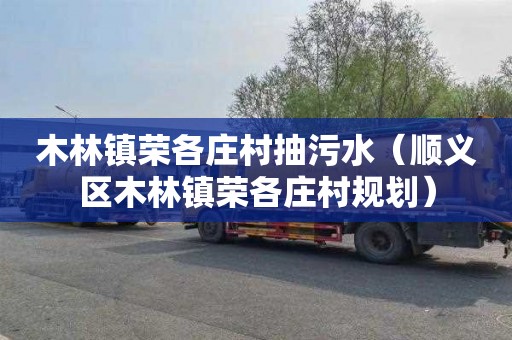 木林镇荣各庄村抽污水（顺义区木林镇荣各庄村规划）