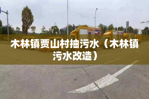 木林镇贾山村抽污水（木林镇污水改造）
