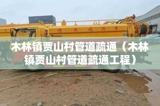 木林镇贾山村管道疏通（木林镇贾山村管道疏通工程）