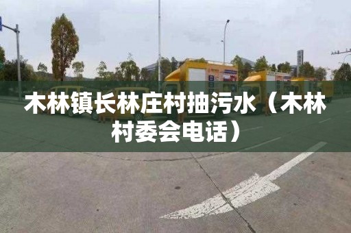 木林镇长林庄村抽污水（木林村委会电话）