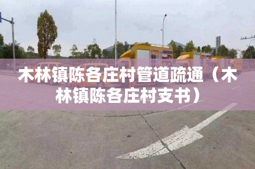木林镇陈各庄村管道疏通（木林镇陈各庄村支书）