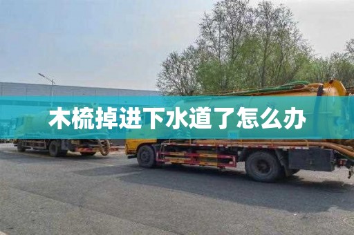 木梳掉进下水道了怎么办