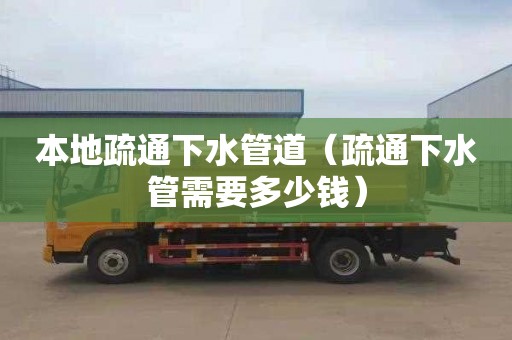 本地疏通下水管道（疏通下水管需要多少钱）