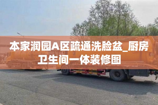 本家润园A区疏通洗脸盆_厨房卫生间一体装修图