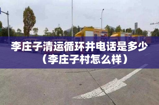 李庄子清运循环井电话是多少（李庄子村怎么样）