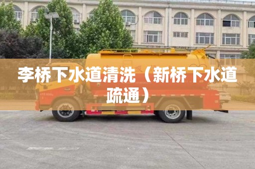 李桥下水道清洗（新桥下水道疏通）