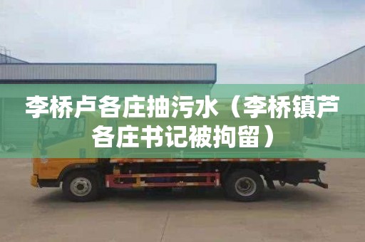 李桥卢各庄抽污水（李桥镇芦各庄书记被拘留）
