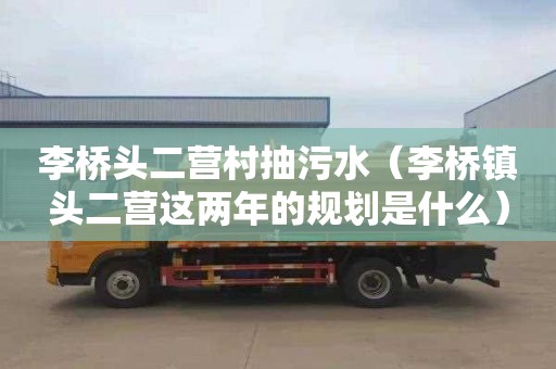 李桥头二营村抽污水（李桥镇头二营这两年的规划是什么）