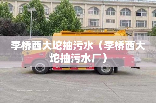 李桥西大坨抽污水（李桥西大坨抽污水厂）