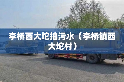 李桥西大坨抽污水（李桥镇西大坨村）