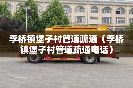 李桥镇堡子村管道疏通（李桥镇堡子村管道疏通电话）