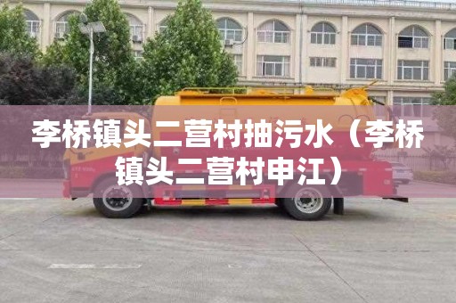 李桥镇头二营村抽污水（李桥镇头二营村申江）