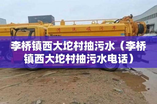 李桥镇西大坨村抽污水（李桥镇西大坨村抽污水电话）