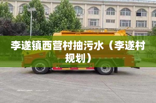 李遂镇西营村抽污水（李遂村规划）
