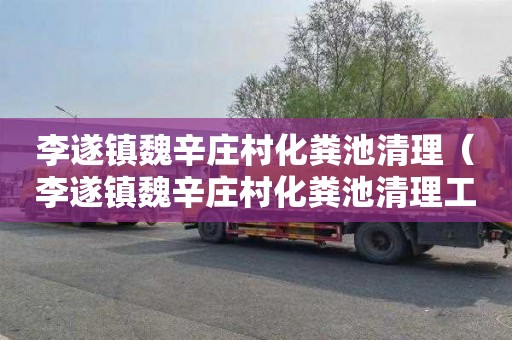 李遂镇魏辛庄村化粪池清理（李遂镇魏辛庄村化粪池清理工程）