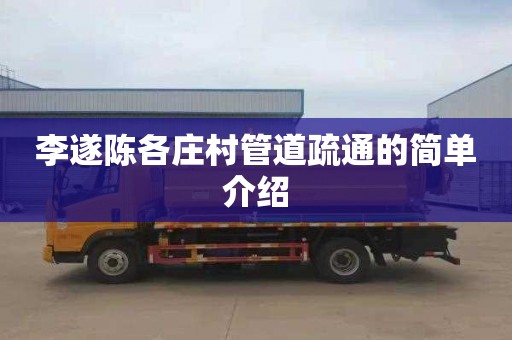 李遂陈各庄村管道疏通的简单介绍