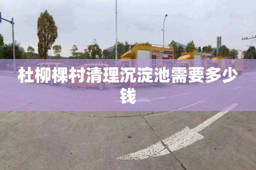 杜柳棵村清理沉淀池需要多少钱