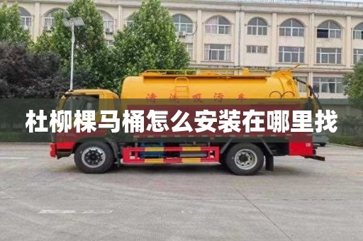 杜柳棵马桶怎么安装在哪里找