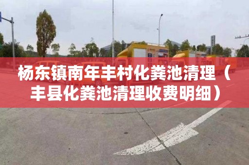 杨东镇南年丰村化粪池清理（丰县化粪池清理收费明细）