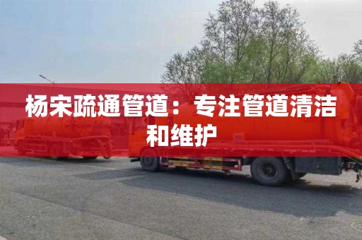 杨宋疏通管道：专注管道清洁和维护
