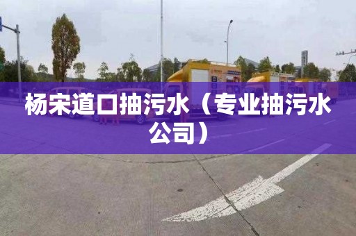 杨宋道口抽污水（专业抽污水公司）
