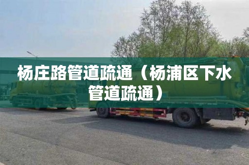 杨庄路管道疏通（杨浦区下水管道疏通）