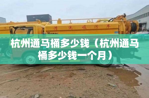 杭州通马桶多少钱（杭州通马桶多少钱一个月）