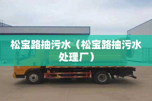 松宝路抽污水（松宝路抽污水处理厂）
