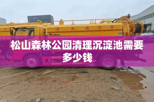 松山森林公园清理沉淀池需要多少钱