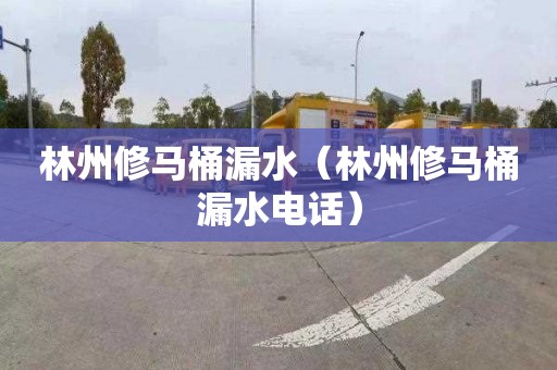 林州修马桶漏水（林州修马桶漏水电话）