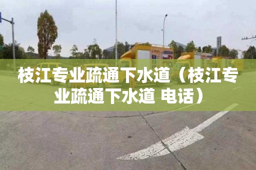 枝江专业疏通下水道（枝江专业疏通下水道 电话）