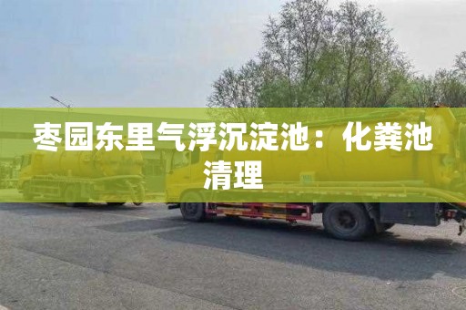 枣园东里气浮沉淀池：化粪池清理