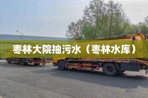 枣林大院抽污水（枣林水库）