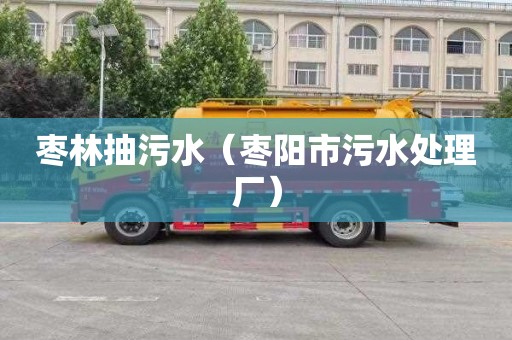 枣林抽污水（枣阳市污水处理厂）