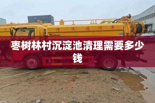 枣树林村沉淀池清理需要多少钱