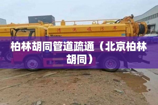 柏林胡同管道疏通（北京柏林胡同）