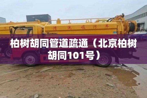 柏树胡同管道疏通（北京柏树胡同101号）
