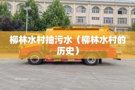 柳林水村抽污水（柳林水村的历史）
