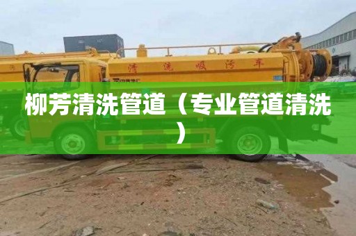 柳芳清洗管道（专业管道清洗）