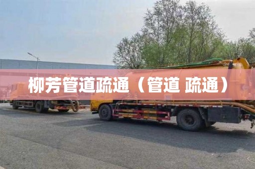 柳芳管道疏通（管道 疏通）