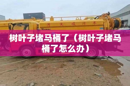 树叶子堵马桶了（树叶子堵马桶了怎么办）