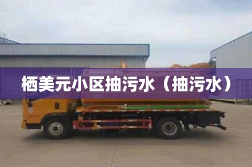 栖美元小区抽污水（抽污水）