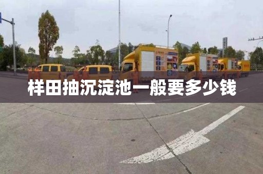 样田抽沉淀池一般要多少钱