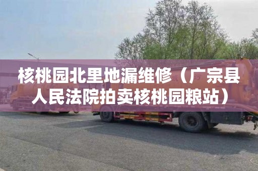 核桃园北里地漏维修（广宗县人民法院拍卖核桃园粮站）